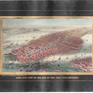 Birds Eye View of the City of New York with Environs