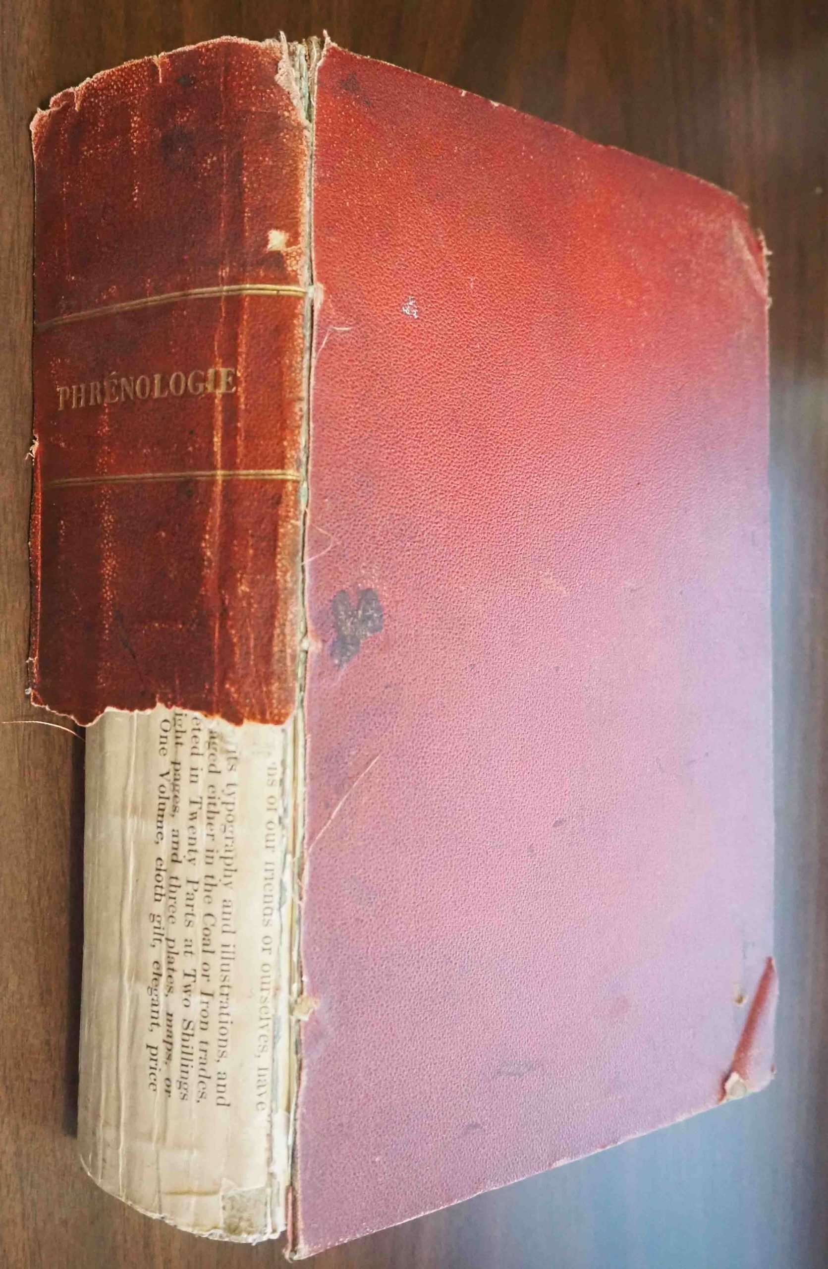La Phrenologie, Le Geste et la Physionomie Demontres par 120 Portraits, Suets et Compositions Graves sur Acier ...